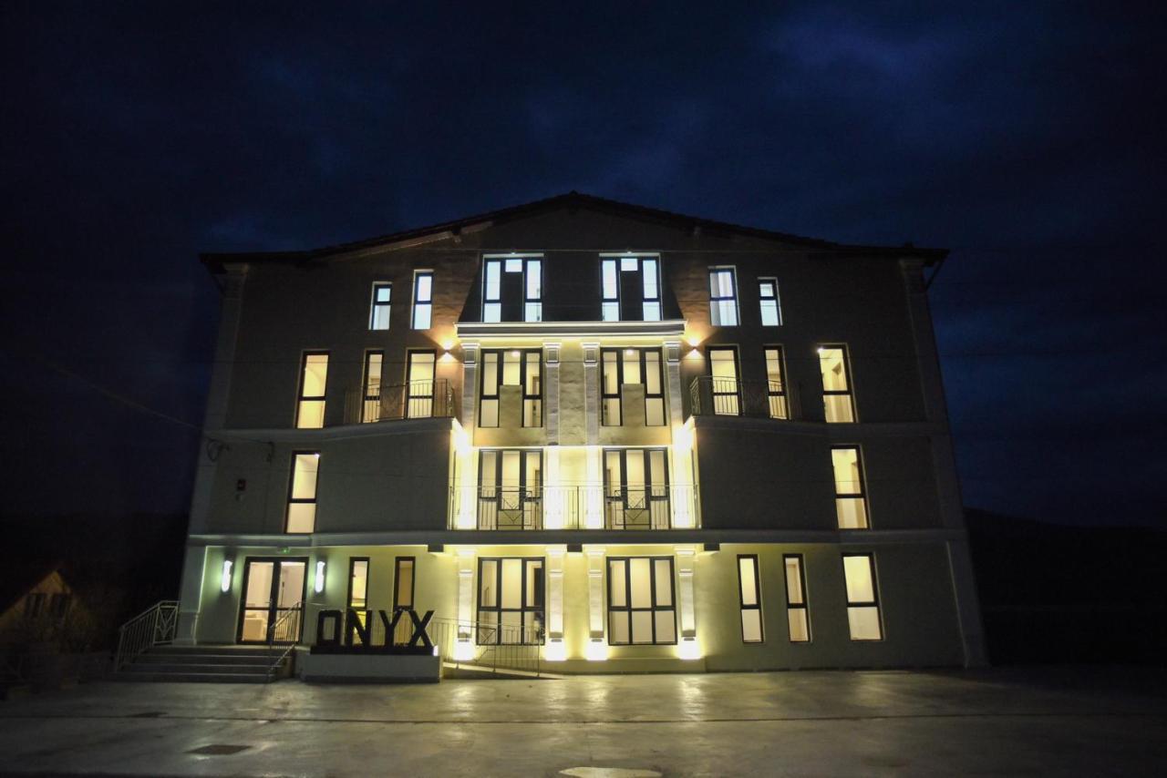 Pensiunea Onyx Ieşelniţa Exterior foto