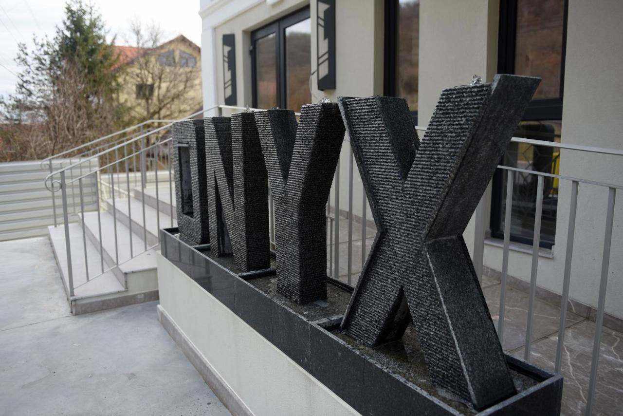 Pensiunea Onyx Ieşelniţa Exterior foto